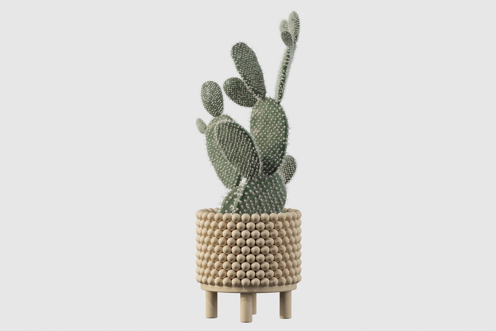 monstera ficus ali model https://p.turbosquid.com/ts-thumb/S6/sVYt8Z/ej/opuntia10/jpg/1612796407/1920x1080/fit_q87/b6c417f76ed9f60a78e9c28fd14d7e480efaab28/opuntia10.jpg