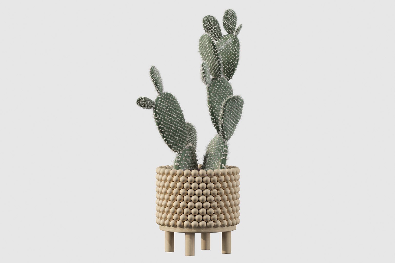 monstera ficus ali model https://p.turbosquid.com/ts-thumb/S6/sVYt8Z/qv/opuntia5/jpg/1612796408/1920x1080/fit_q87/b8e59dbdc1bf000a54cdc2f08a0c932fbcc759d2/opuntia5.jpg