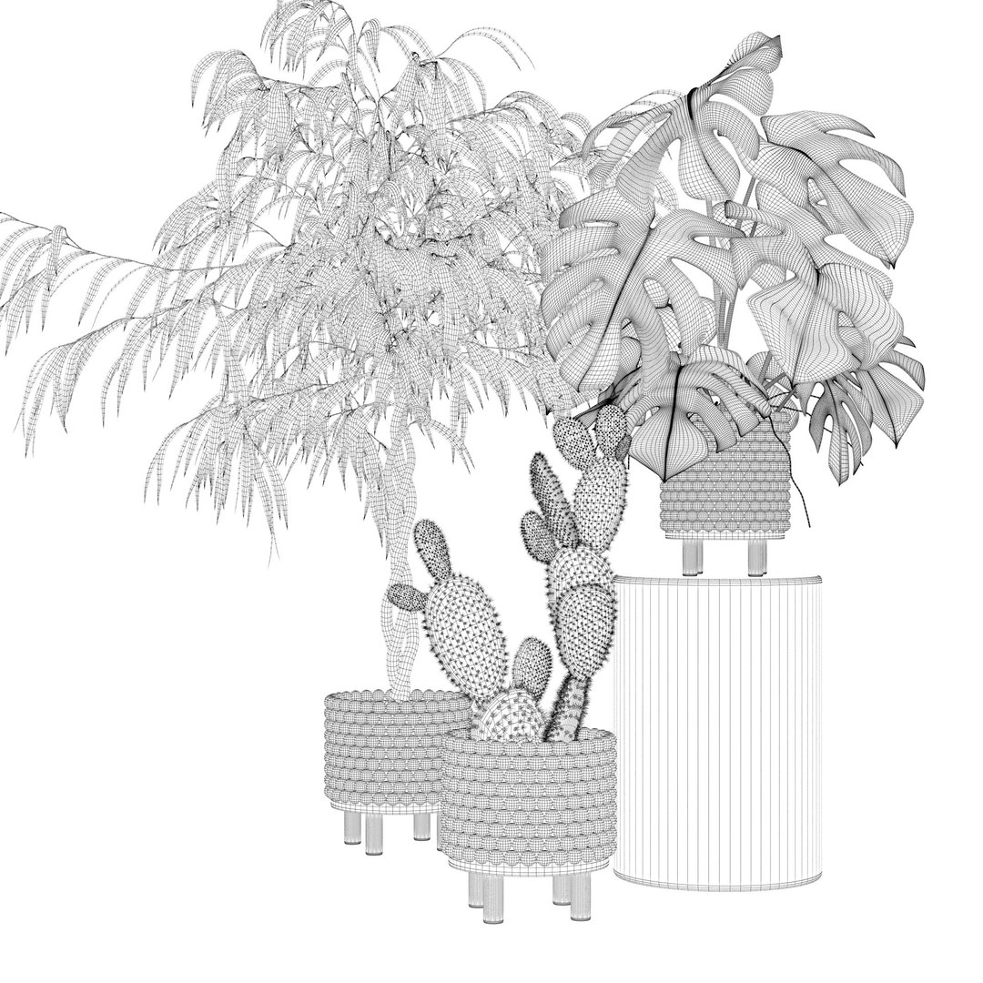monstera ficus ali model https://p.turbosquid.com/ts-thumb/S6/sVYt8Z/ys/plantscollection091wire/jpg/1612796320/1920x1080/fit_q87/ba8f98138df70f74c3eb2e0c7123a85b5ac02c8b/plantscollection091wire.jpg