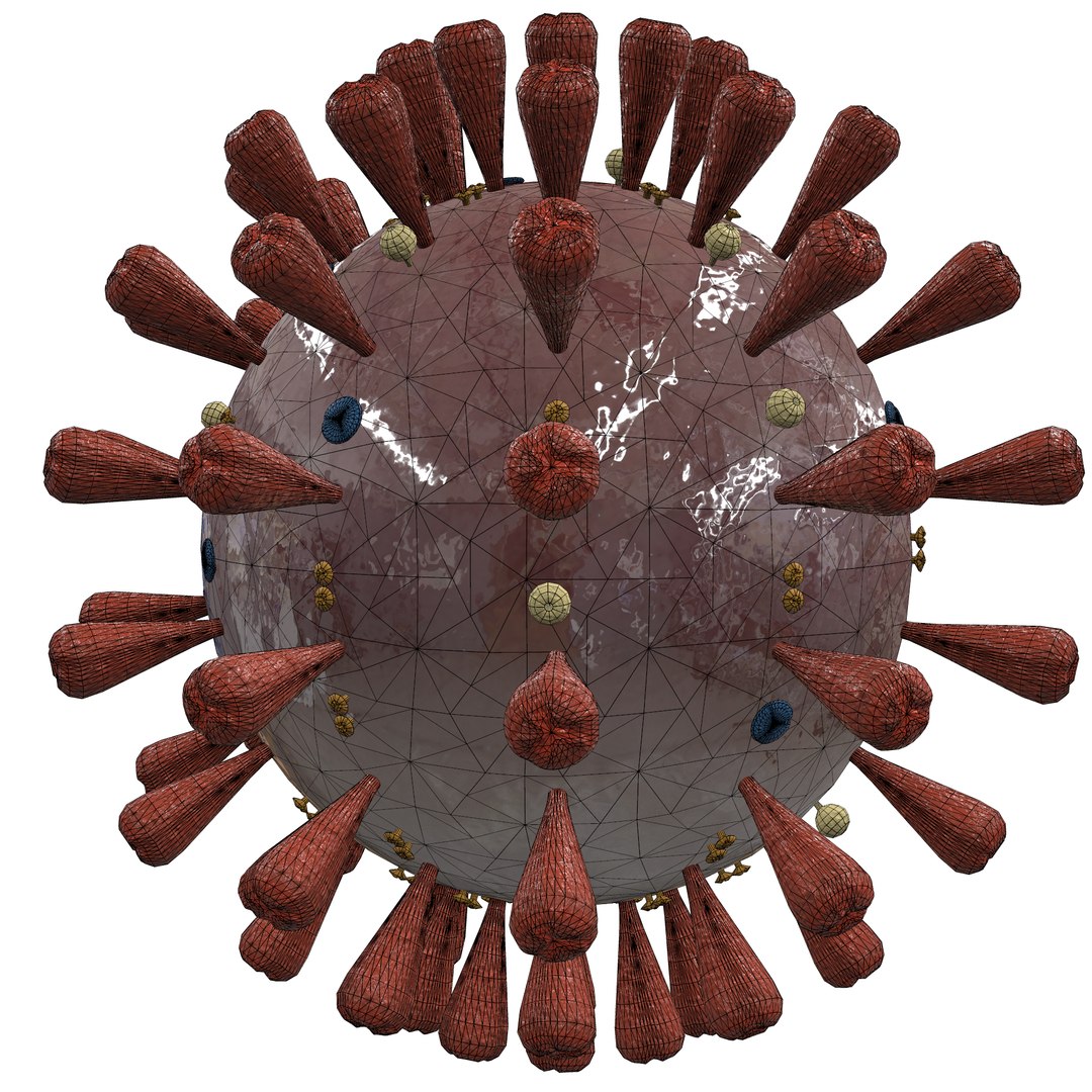 coronavirus virus cell model https://p.turbosquid.com/ts-thumb/S7/AzGyoc/xsQ1cw9M/screenshot005/png/1583530690/1920x1080/fit_q87/870311dd85406bee76bd2c6105662b4f5aaac01a/screenshot005.jpg
