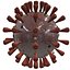 Coronavirus virus cell COVID-19