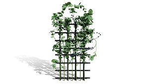 3D Rare Edible Plants Collection