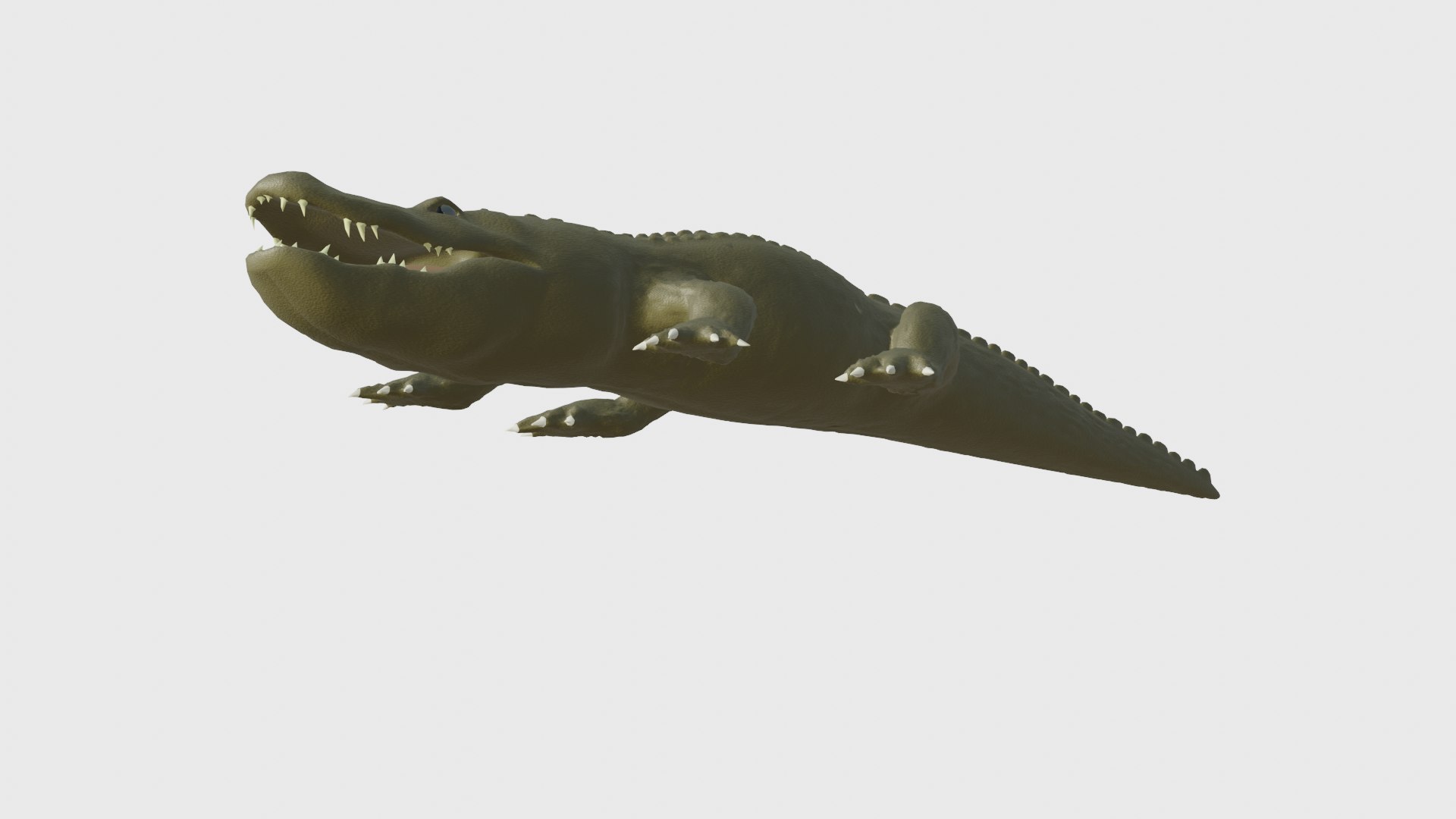 3D Alligator Model - TurboSquid 1804496