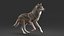 3D realistic rigged wolf