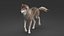 3D realistic rigged wolf