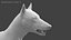3D realistic rigged wolf