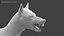 3D realistic rigged wolf