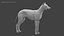 3D realistic rigged wolf