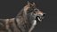 3D realistic rigged wolf