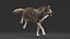 3D realistic rigged wolf