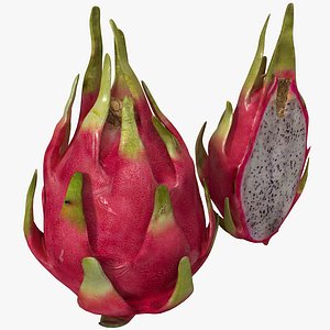 dragonfruit set 3d obj