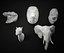 Modelo 3D Low Poly Animal Heads