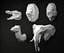 Modelo 3D Low Poly Animal Heads