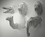 Modelo 3D Low Poly Animal Heads