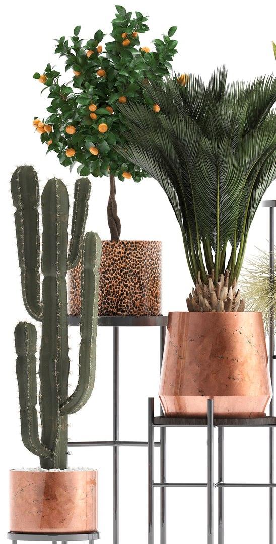 potted plants copper 3D model https://p.turbosquid.com/ts-thumb/S7/ZgBjA0/62pqU6cW/plantpot15021903/jpg/1550328390/1920x1080/fit_q87/31007c2f2c24df79ac9b8254e08b1941079f77b8/plantpot15021903.jpg
