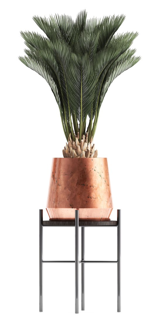 potted plants copper 3D model https://p.turbosquid.com/ts-thumb/S7/ZgBjA0/8mnzvbVv/plantpot15021906/jpg/1550328390/1920x1080/fit_q87/26e6329b18e697d5e3fcb0452d9a7a125c07a926/plantpot15021906.jpg