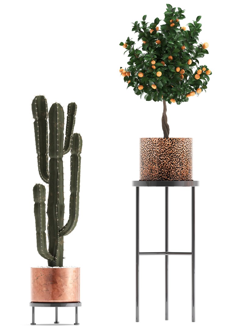 potted plants copper 3D model https://p.turbosquid.com/ts-thumb/S7/ZgBjA0/9SuI4Wps/plantpot15021914/jpg/1550328390/1920x1080/fit_q87/6104a80a53f4862f7216d008b0d5ccb641e32c8a/plantpot15021914.jpg