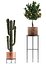 Collection of plants in copper pots