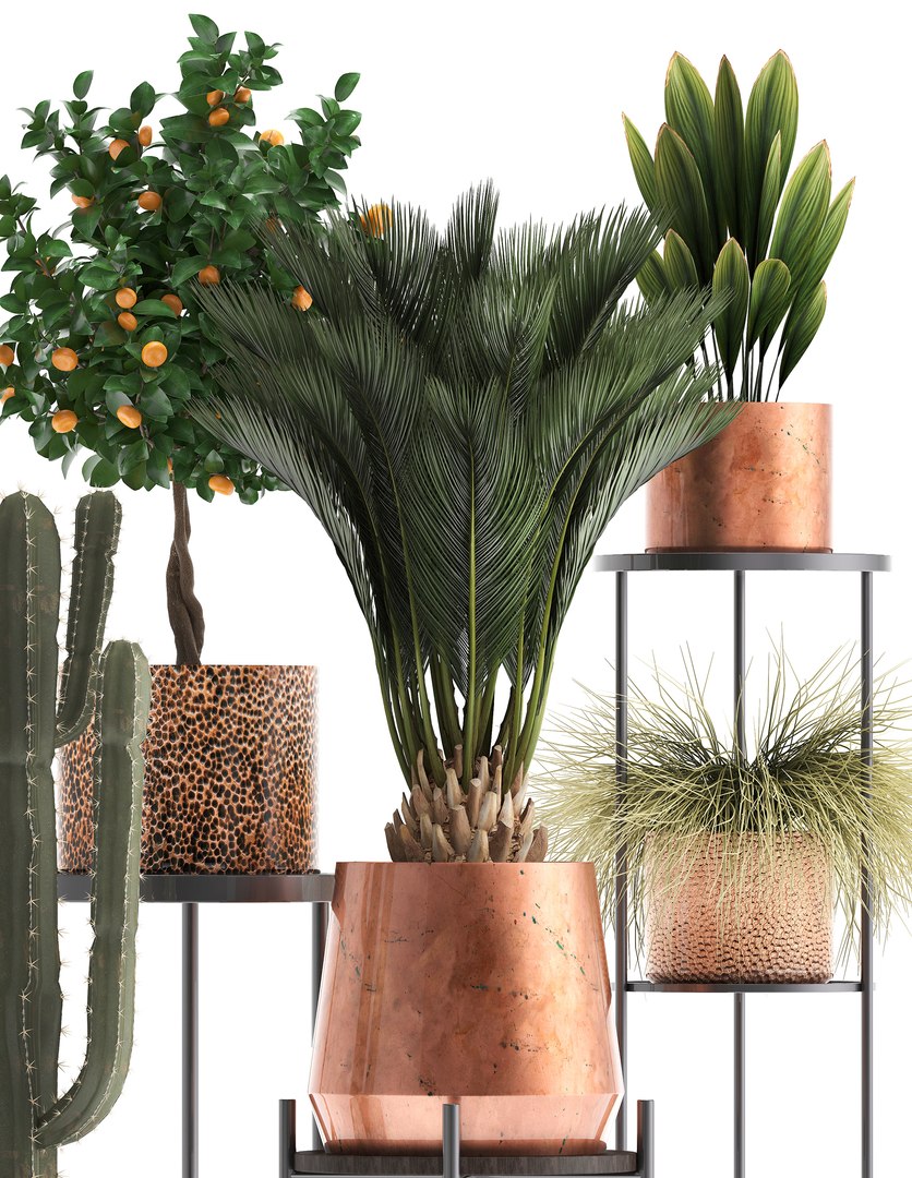 potted plants copper 3D model https://p.turbosquid.com/ts-thumb/S7/ZgBjA0/CHT2spXQ/plantpot15021902/jpg/1550328390/1920x1080/fit_q87/37d049676880ec12bf3406c58a51a105d22bae40/plantpot15021902.jpg