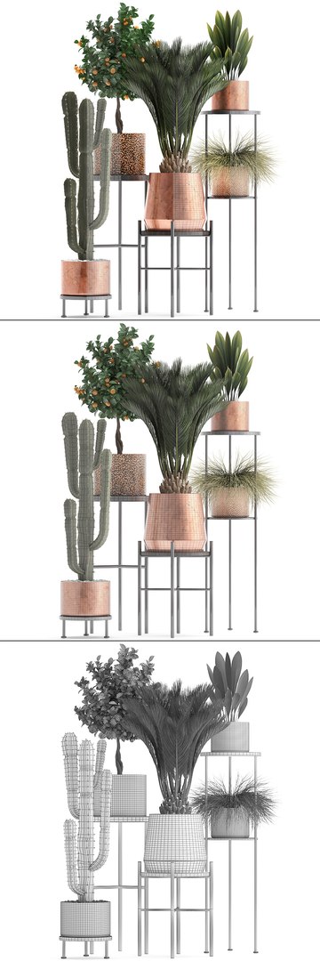 potted plants copper 3D model https://p.turbosquid.com/ts-thumb/S7/ZgBjA0/Curqv54j/plantpot15021912/jpg/1550328390/1920x1080/fit_q87/dd2af8226be637ec050f4e3a2e2b96e94b7b69be/plantpot15021912.jpg