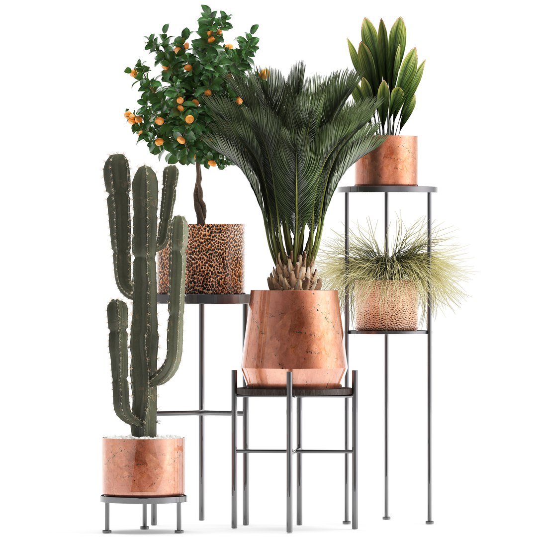 potted plants copper 3D model https://p.turbosquid.com/ts-thumb/S7/ZgBjA0/IhgVnDS2/plantpot15021901/jpg/1550328390/1920x1080/fit_q87/87fe41bb1cc56ad7845d88b75a1b2a4fad870441/plantpot15021901.jpg