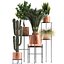 Collection of plants in copper pots