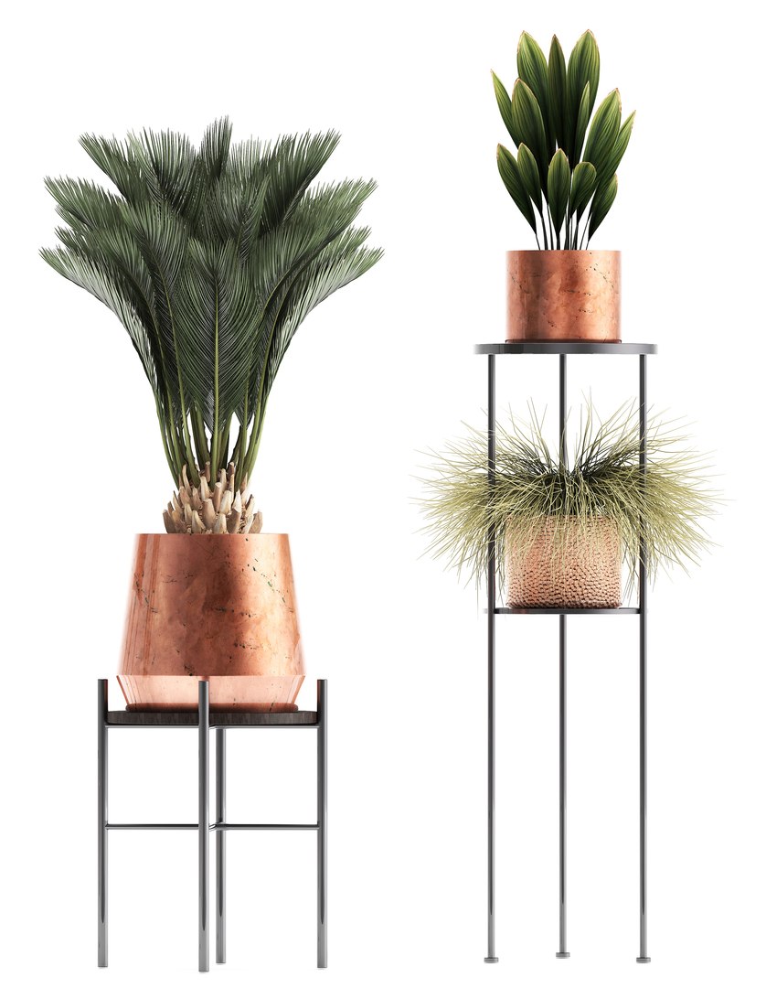 potted plants copper 3D model https://p.turbosquid.com/ts-thumb/S7/ZgBjA0/Nvfy5H13/plantpot15021915/jpg/1550328390/1920x1080/fit_q87/cb609698468b6d91c486dd21c5b5376aef23d97b/plantpot15021915.jpg