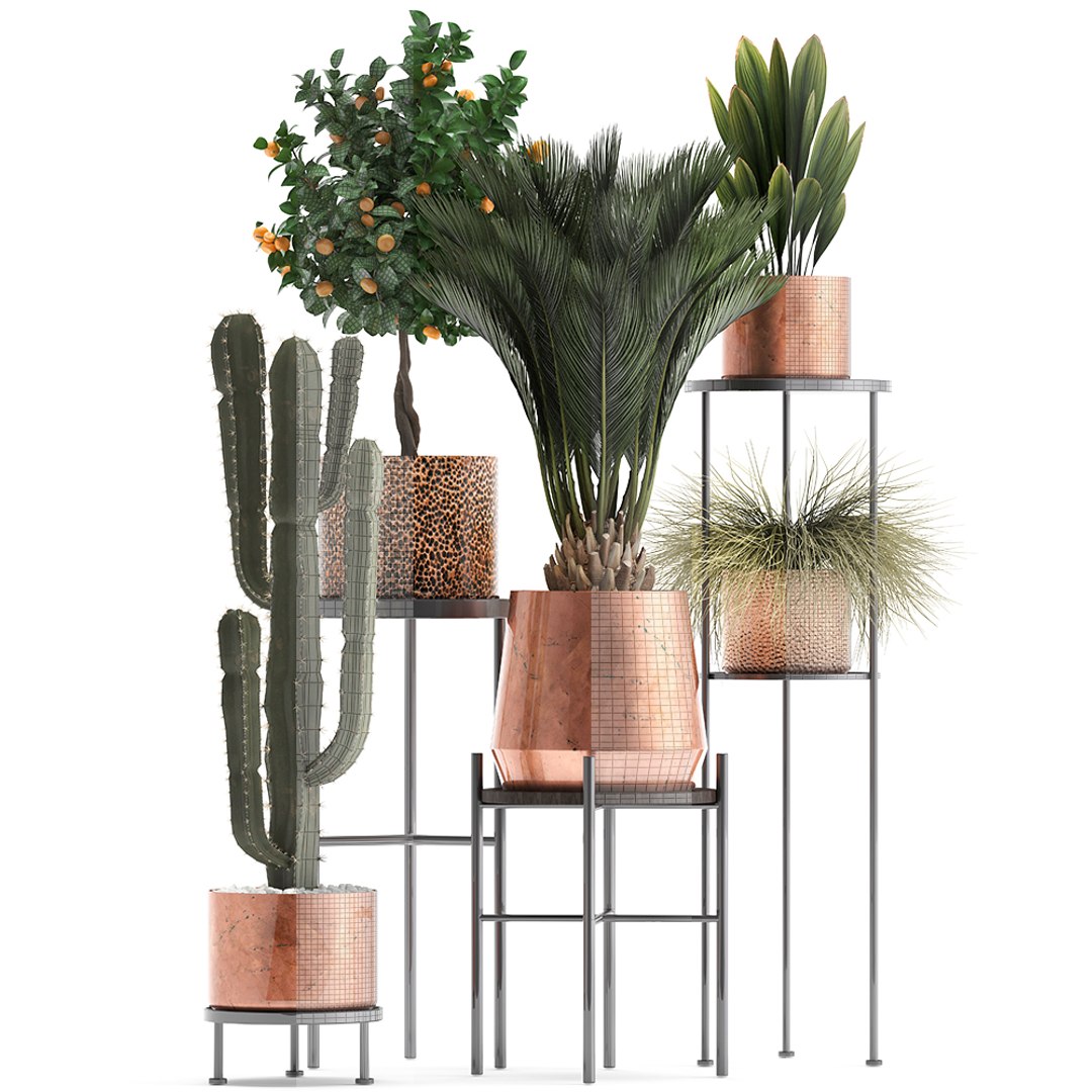 potted plants copper 3D model https://p.turbosquid.com/ts-thumb/S7/ZgBjA0/Wan5duPH/plantpot15021911/jpg/1550328390/1920x1080/fit_q87/39ca77706ef32de57a84cc0e66460952d4aaaf6a/plantpot15021911.jpg