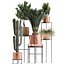 Collection of plants in copper pots