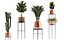 Collection of plants in copper pots