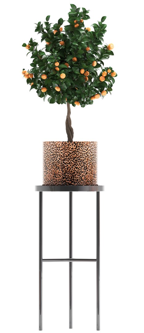 potted plants copper 3D model https://p.turbosquid.com/ts-thumb/S7/ZgBjA0/mbx5cuBw/plantpot15021905/jpg/1550328390/1920x1080/fit_q87/bd255f786e733d497639d8e05ca51589236c17c1/plantpot15021905.jpg
