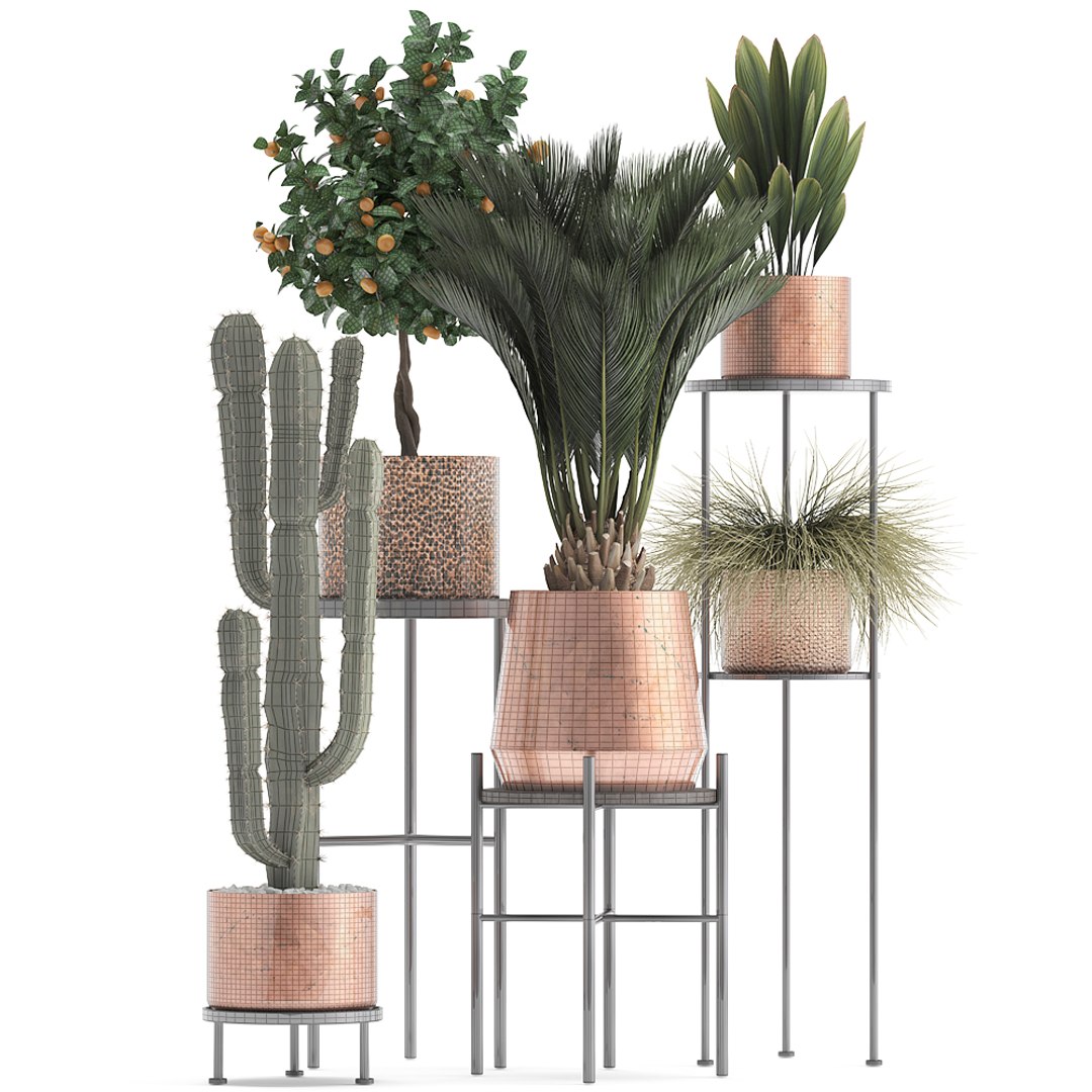 potted plants copper 3D model https://p.turbosquid.com/ts-thumb/S7/ZgBjA0/uV4YKbwH/plantpot15021910/jpg/1550328390/1920x1080/fit_q87/9160295cb7f156acde2b333d6dda4824dd047698/plantpot15021910.jpg