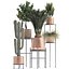 Collection of plants in copper pots