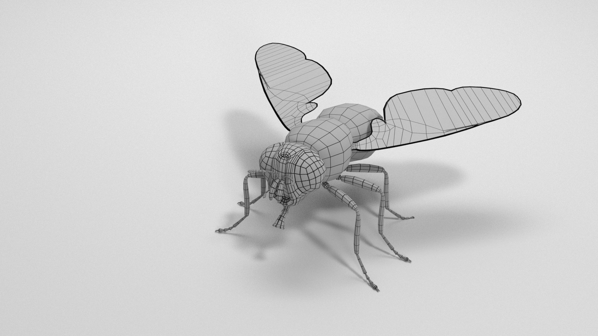Housefly 3D model https://p.turbosquid.com/ts-thumb/S7/l2rKRf/Bc/wireframe/jpg/1636555897/1920x1080/turn_fit_q99/43bf76730a40dd81f6fa016837145ce6213974c0/wireframe-1.jpg