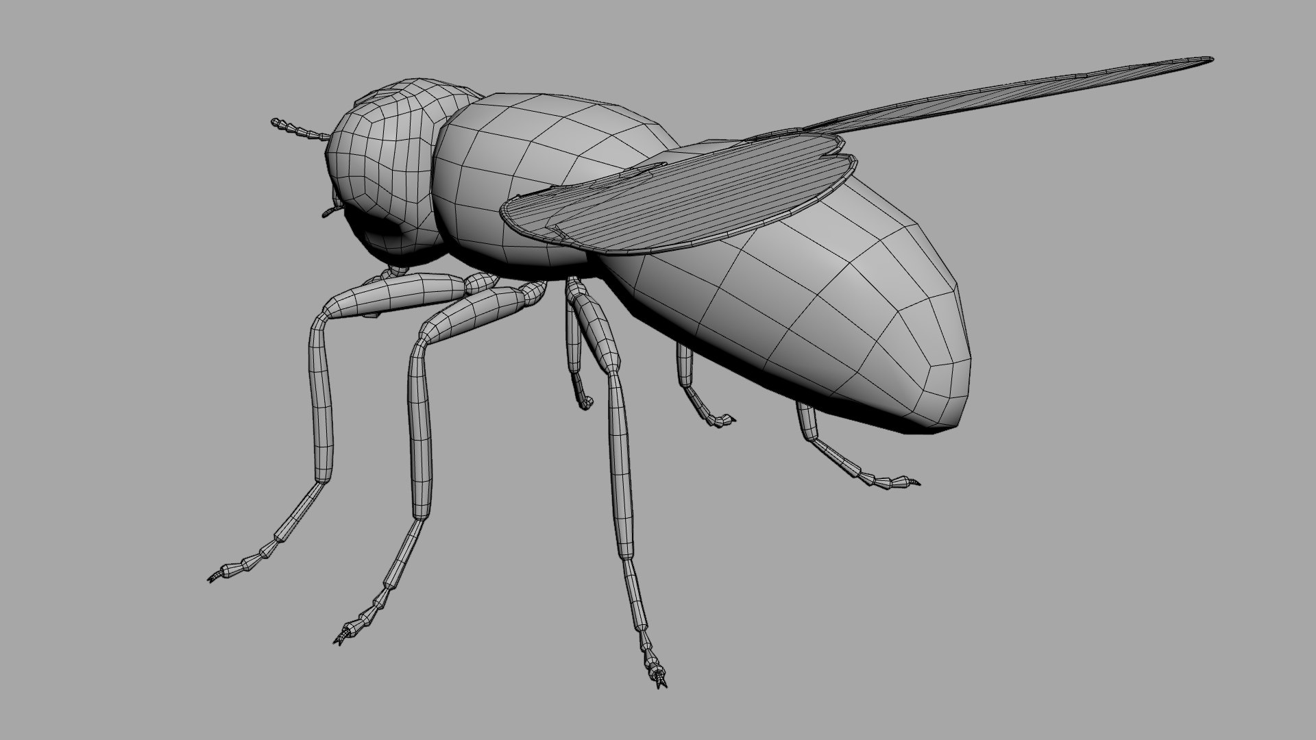 Housefly 3D model https://p.turbosquid.com/ts-thumb/S7/l2rKRf/GZ/wireframe04/jpg/1636555641/1920x1080/fit_q87/4e1b556fa014ad6cdccf79e376d36454350318d3/wireframe04.jpg