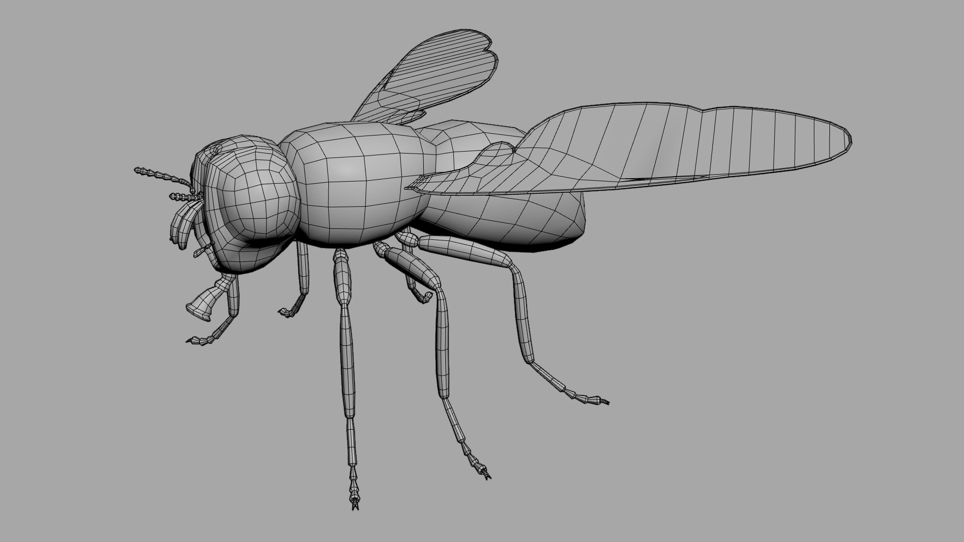 Housefly 3D model https://p.turbosquid.com/ts-thumb/S7/l2rKRf/Nr/wireframe02/jpg/1636555641/1920x1080/fit_q87/518652051aedd895faebbc2828690a273d03b2af/wireframe02.jpg