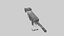 gato minecraft