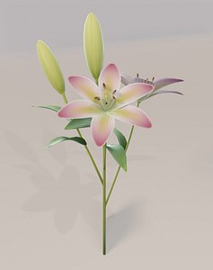 3D lily model