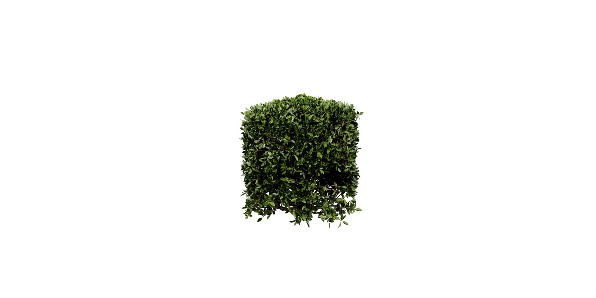 3D Collection plant vol 546 - blender model model https://p.turbosquid.com/ts-thumb/S8/17yjBQ/18/4/jpg/1699374391/1920x1080/fit_q87/f71cc7c911571c970247f32355e4c70bf394f089/4.jpg