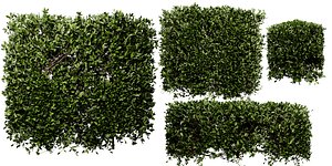 3D Collection plant vol 546 - blender model model