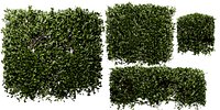Collection plant vol 546 - blender model