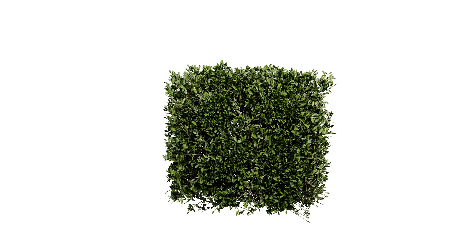 3D Collection plant vol 546 - blender model model https://p.turbosquid.com/ts-thumb/S8/17yjBQ/RP/3/jpg/1699374389/1920x1080/fit_q87/ebf941d7a976c4c6d90f4c7c509d4564ec0d59aa/3.jpg