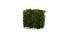 Collection plant vol 546 - blender model