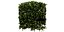 Collection plant vol 546 - blender model