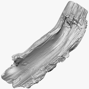 Tree trunk wood 3D Scan in highpoly