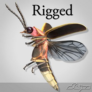 FireFly Bug Rigged with Bones