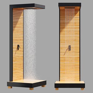 3D Shower
