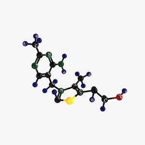 Vitamin B1-Molecular Model