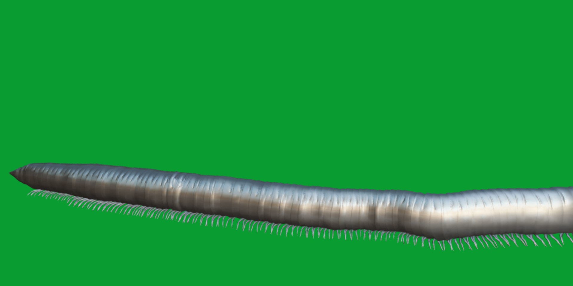 Giant African Millipede model https://p.turbosquid.com/ts-thumb/S9/3IjnfT/Cv/giant_african_millipede15/png/1742835756/1920x1080/fit_q87/3c3c28297bd775949f72e3dbf62565c08da666ab/giant_african_millipede15.jpg