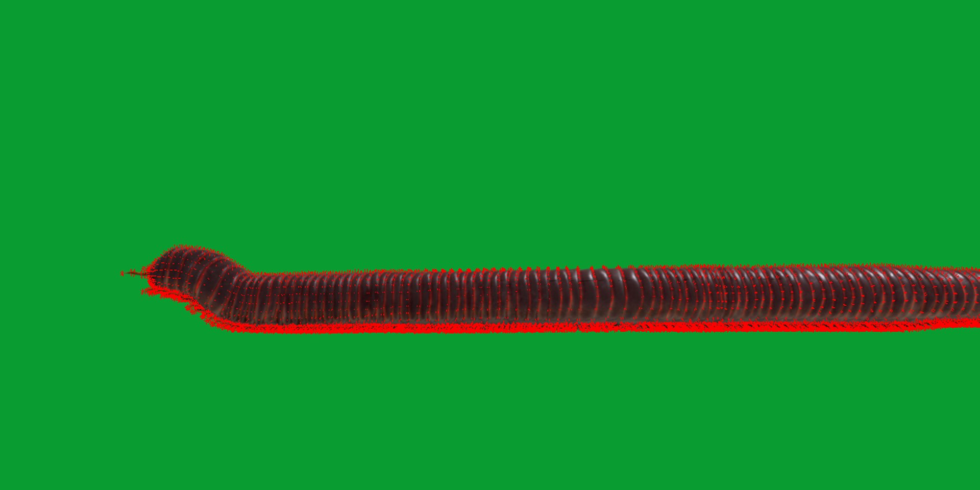 Giant African Millipede model https://p.turbosquid.com/ts-thumb/S9/3IjnfT/DG/giant_african_millipede21/png/1742835760/1920x1080/fit_q87/f23cb53647abda4254727a8070f4646e04e3786a/giant_african_millipede21.jpg